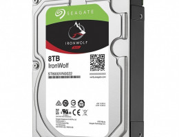 ST8000VN0022   3.5" IronWolf 8  SATA 6Gb/s