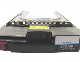 BD30088279 SCSI 300Gb 10K Hot-Plug