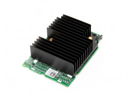 0P2R3R HBA330 Integrated Minicard 12Gb/s PCIe 3.0 x8 (405-AAJW)